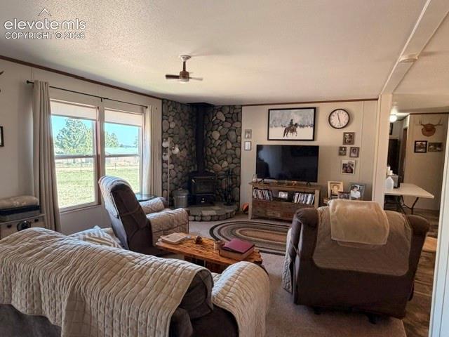 8084 Oak Drive Rye CO 81069