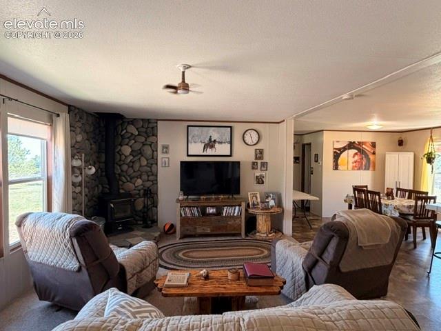 8084 Oak Drive Rye CO 81069
