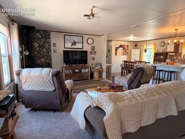 8084 Oak Drive Rye CO 81069