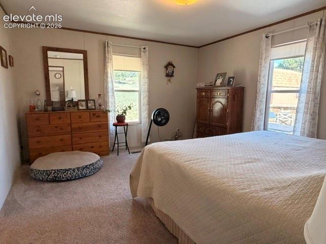 8084 Oak Drive Rye CO 81069