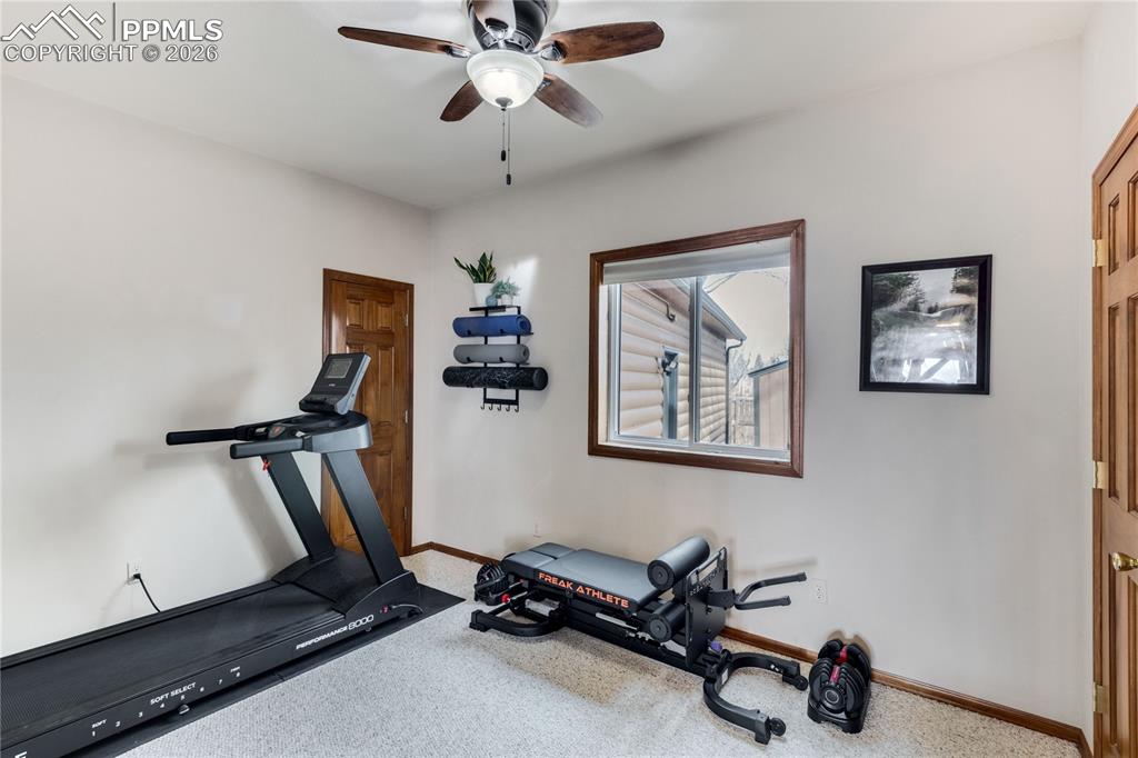 6980 Weeping Willow Drive Colorado Springs CO 80925