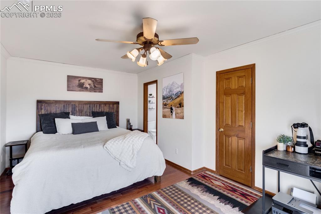 6980 Weeping Willow Drive Colorado Springs CO 80925