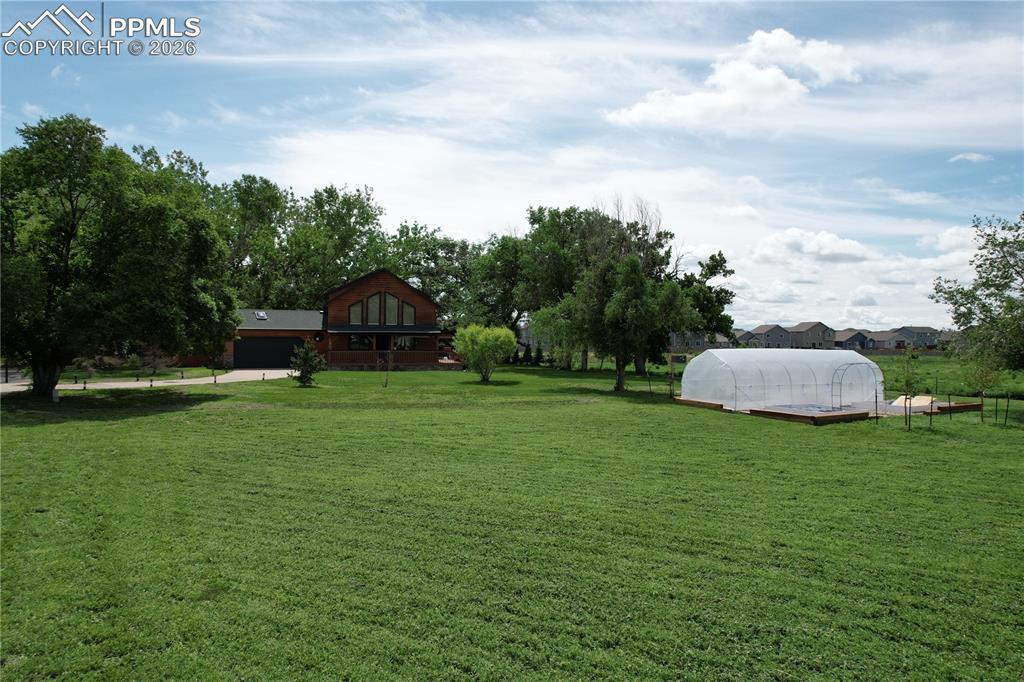 6980 Weeping Willow Drive Colorado Springs CO 80925
