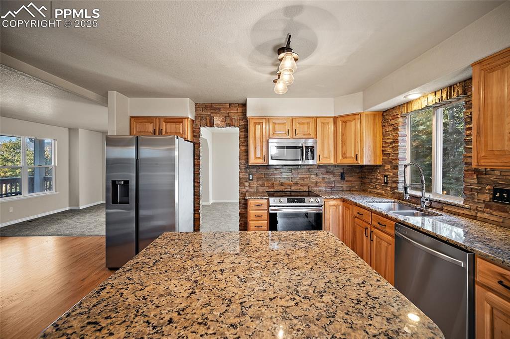 1410 Almagre Peak Drive Colorado Springs CO 80921