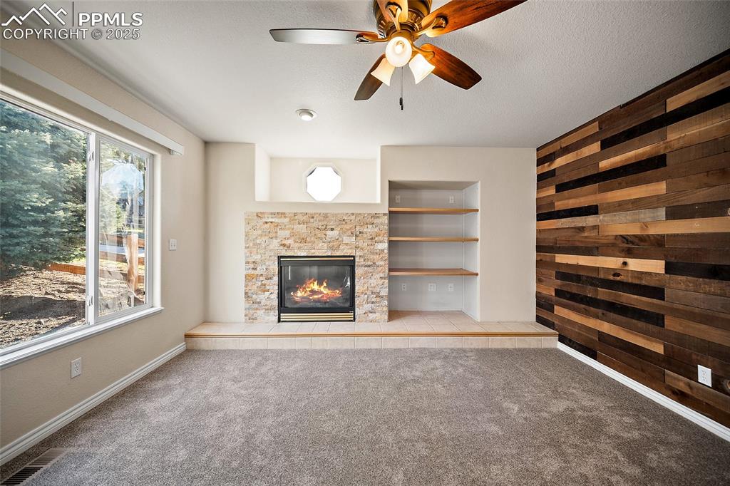 1410 Almagre Peak Drive Colorado Springs CO 80921