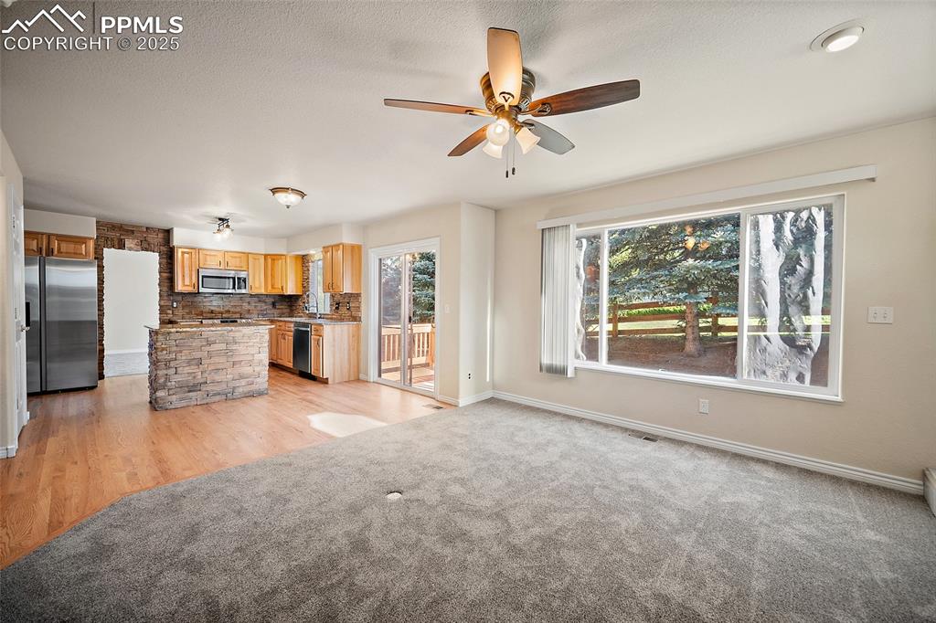 1410 Almagre Peak Drive Colorado Springs CO 80921