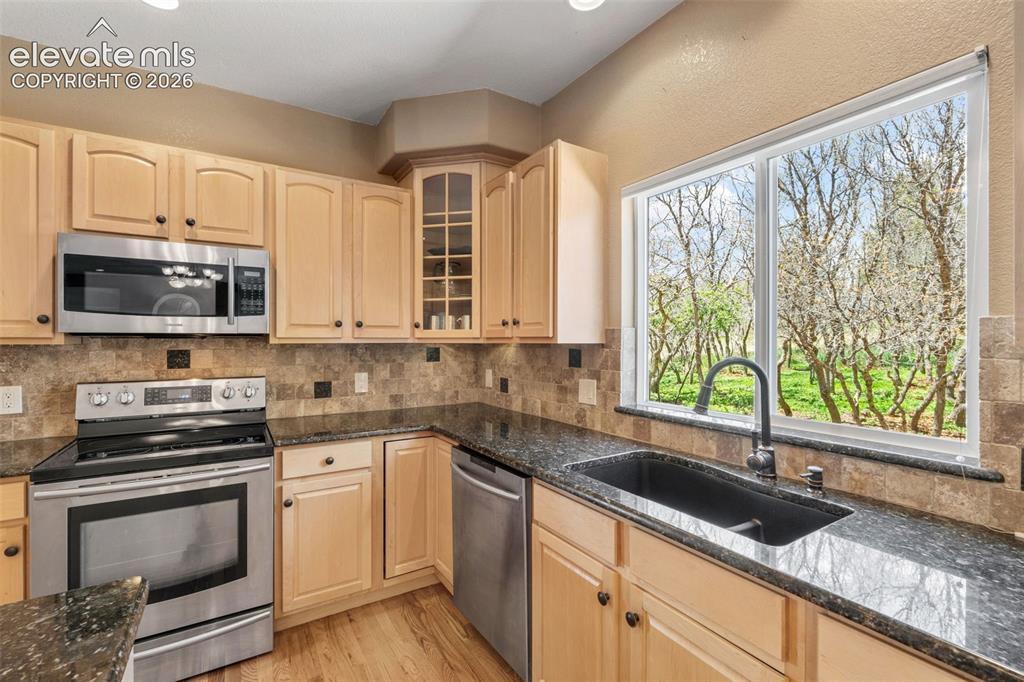 15150 Jessie Drive Colorado Springs CO 80921