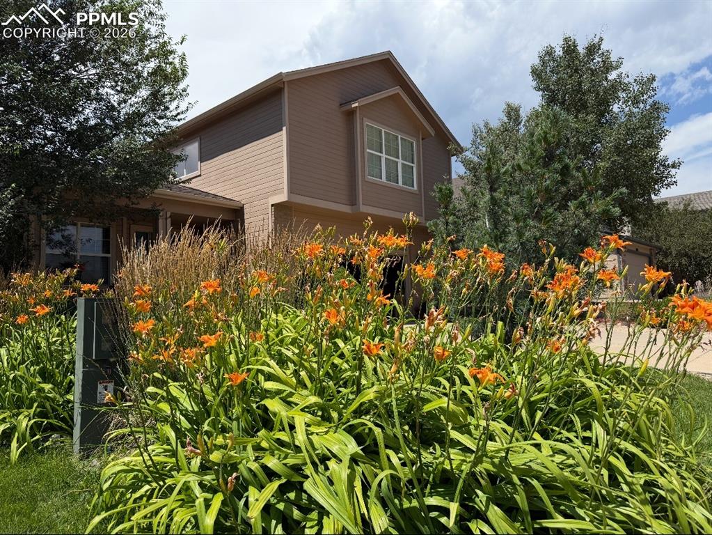 3978 Pronghorn Meadows Circle Colorado Springs CO 80922