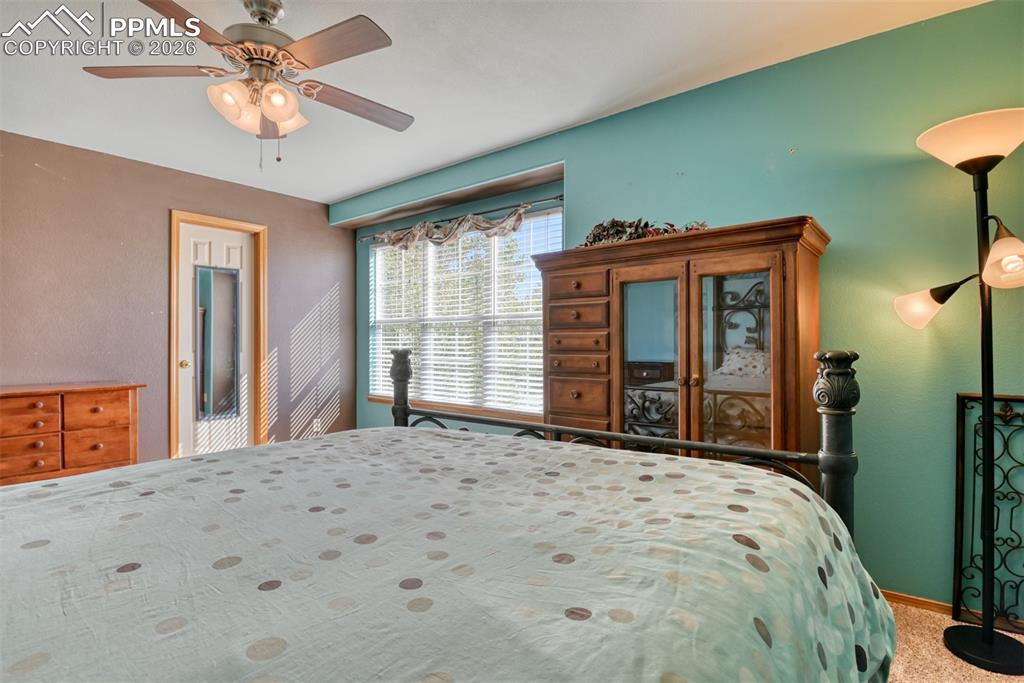 3978 Pronghorn Meadows Circle Colorado Springs CO 80922