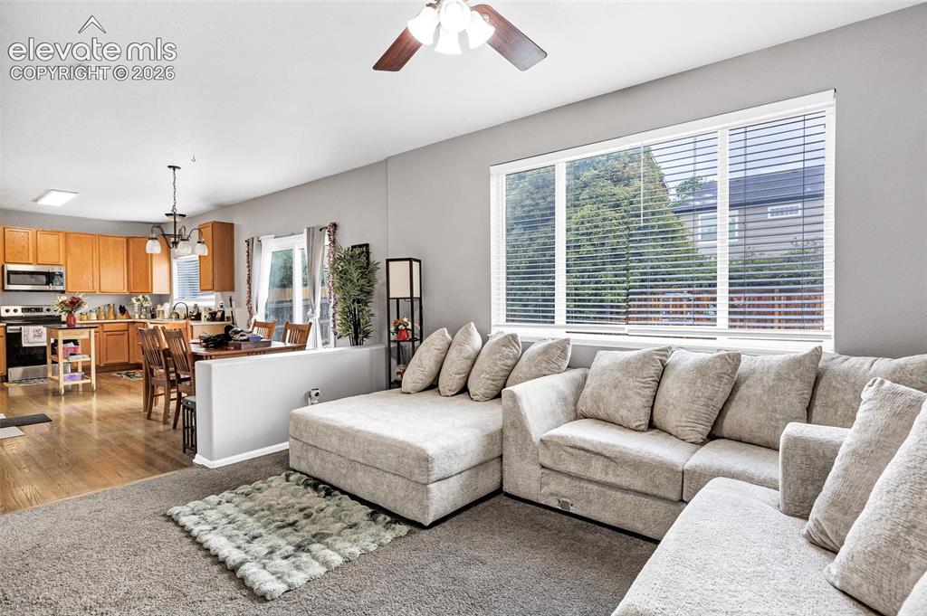 4262 Knollvale Drive Colorado Springs CO 80922