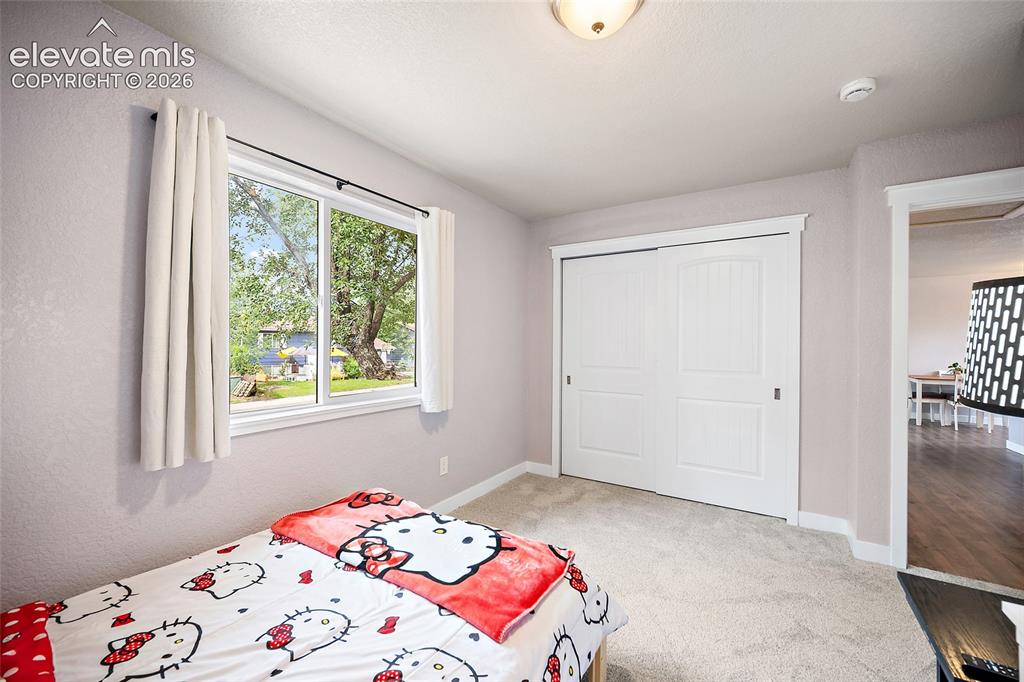 2523 Ember Drive Colorado Springs CO 80910