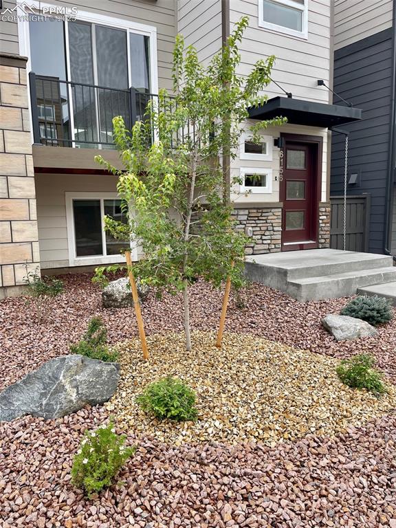 6156 Steele Creek Way Colorado Springs CO 80922