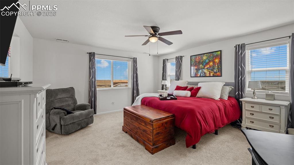5769 Zounds Way Colorado Springs CO 80927