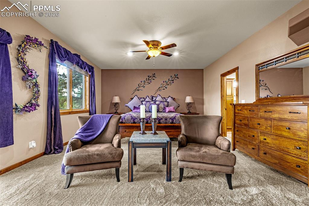 791 Skyline Drive Woodland Park CO 80863