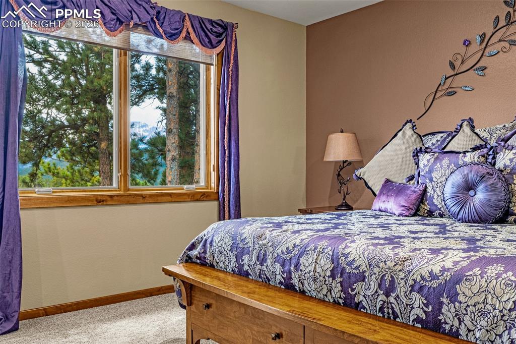 791 Skyline Drive Woodland Park CO 80863