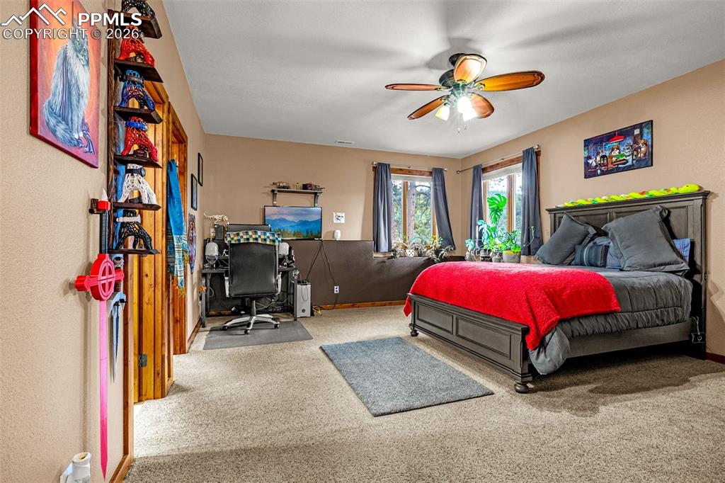 791 Skyline Drive Woodland Park CO 80863