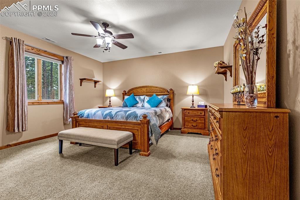 791 Skyline Drive Woodland Park CO 80863
