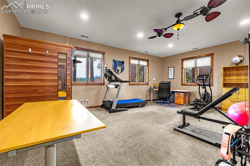 791 Skyline Drive Woodland Park CO 80863