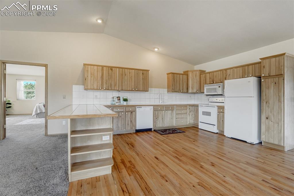115 White Tail Lane Florissant CO 80816