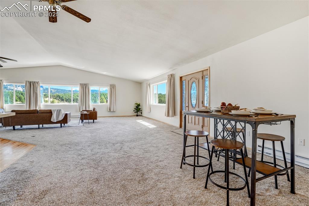 115 White Tail Lane Florissant CO 80816