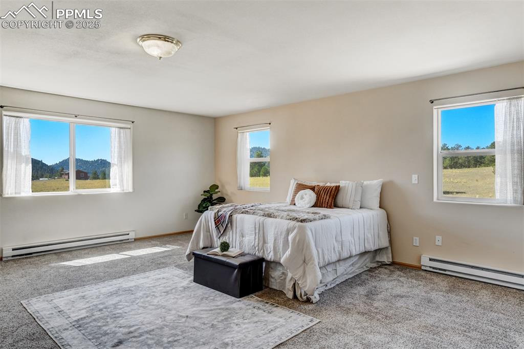 115 White Tail Lane Florissant CO 80816