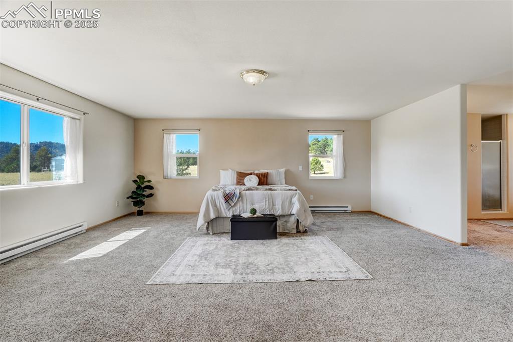 115 White Tail Lane Florissant CO 80816