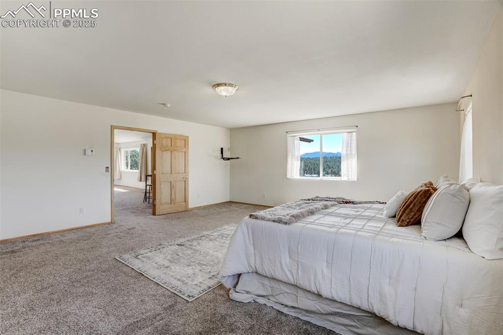 115 White Tail Lane Florissant CO 80816