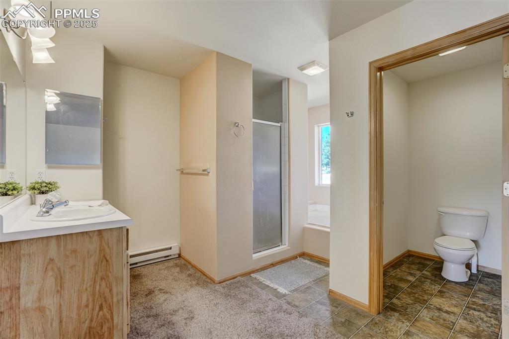 115 White Tail Lane Florissant CO 80816