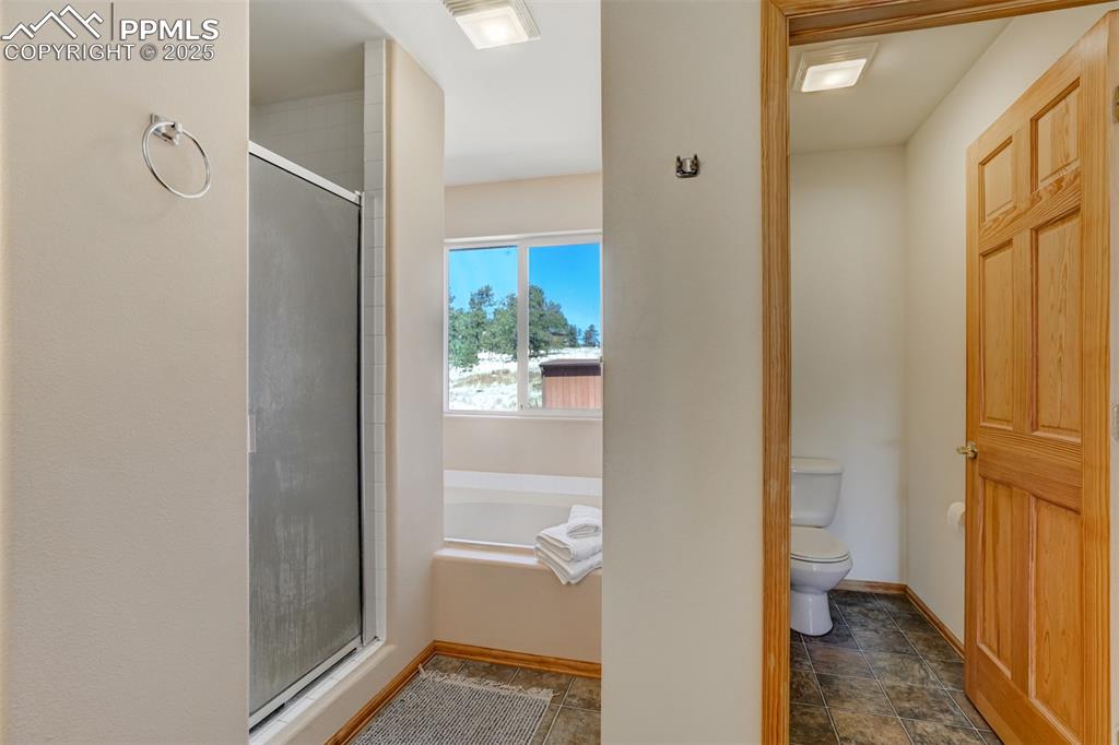 115 White Tail Lane Florissant CO 80816