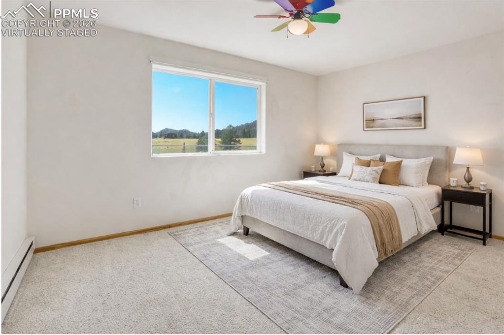 115 White Tail Lane Florissant CO 80816