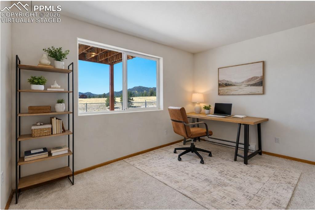 115 White Tail Lane Florissant CO 80816