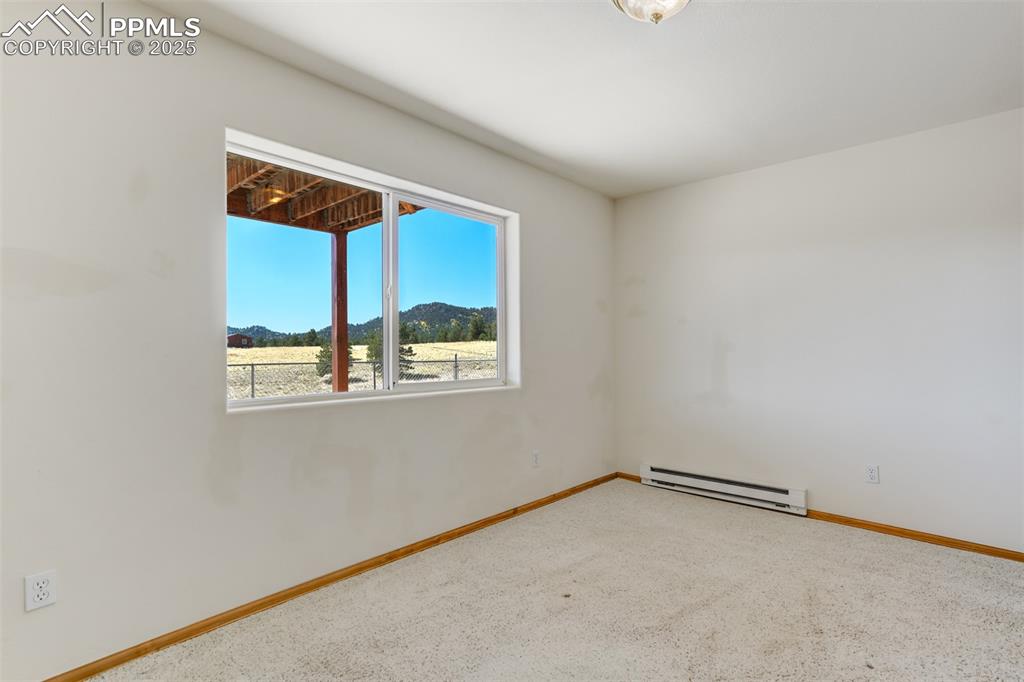 115 White Tail Lane Florissant CO 80816