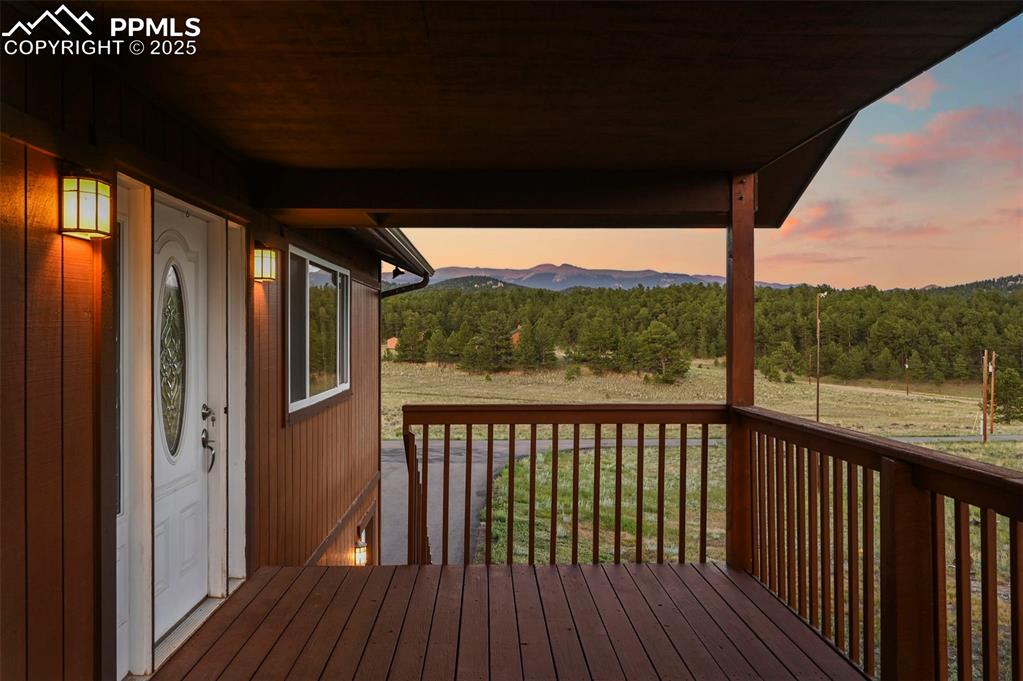 115 White Tail Lane Florissant CO 80816