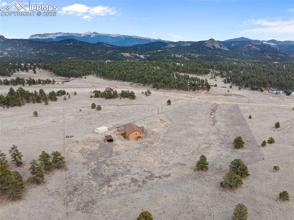 115 White Tail Lane Florissant CO 80816