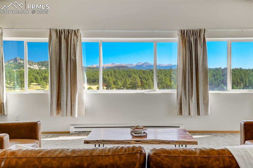 115 White Tail Lane Florissant CO 80816