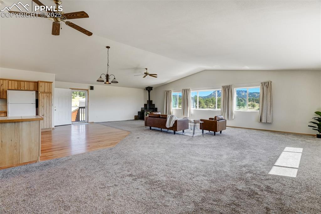 115 White Tail Lane Florissant CO 80816