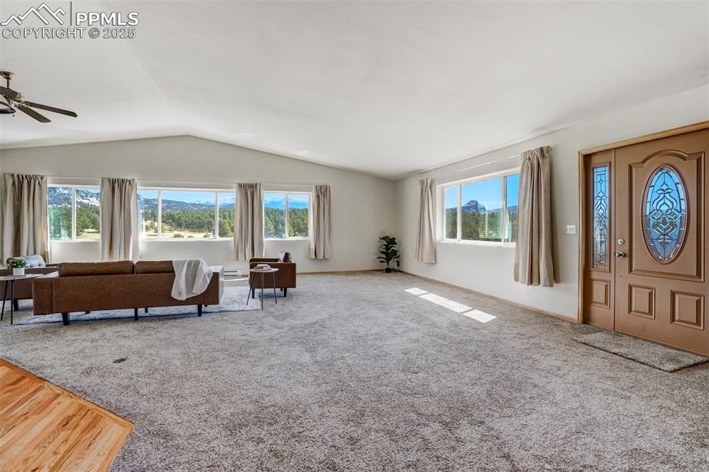 115 White Tail Lane Florissant CO 80816