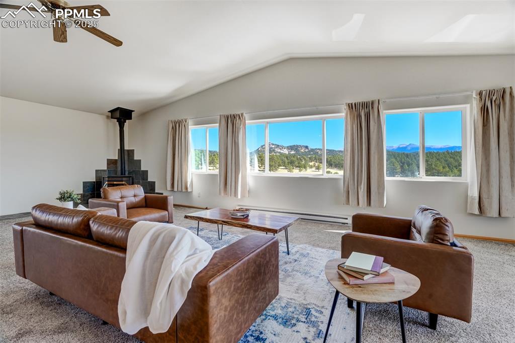 115 White Tail Lane Florissant CO 80816