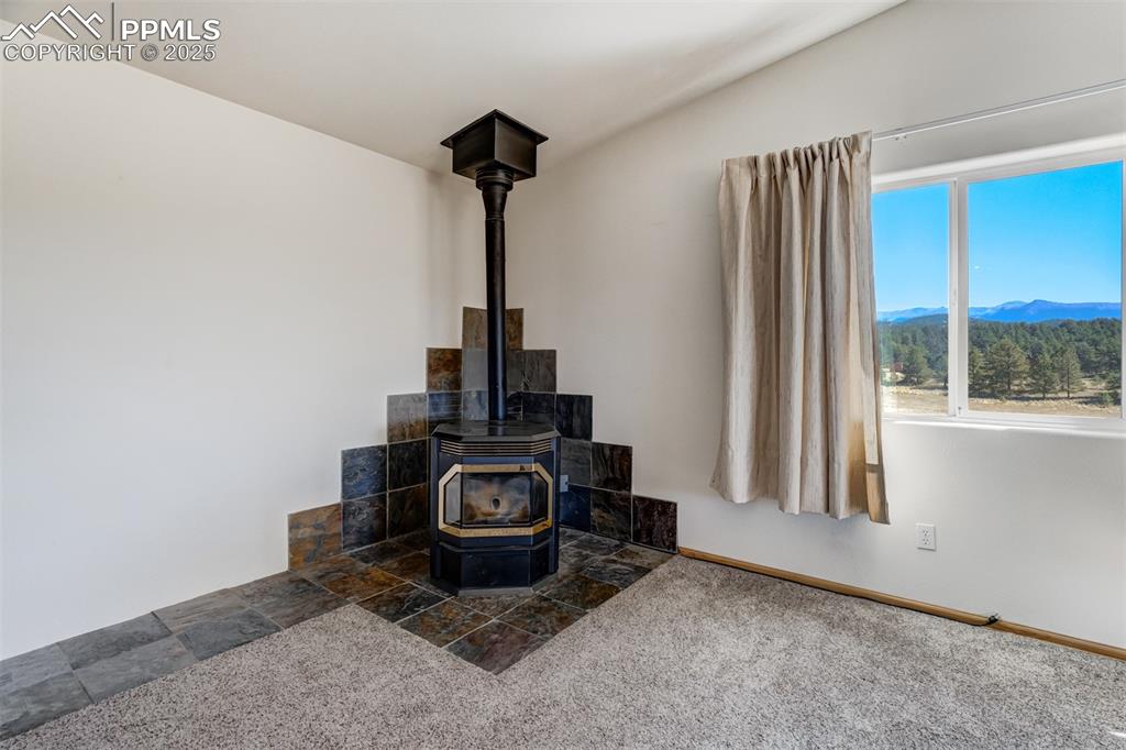 115 White Tail Lane Florissant CO 80816