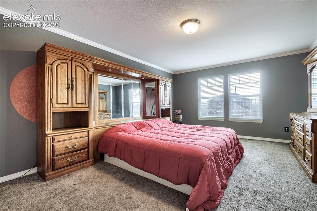 7824 Antelope Meadows Circle Peyton CO 80831