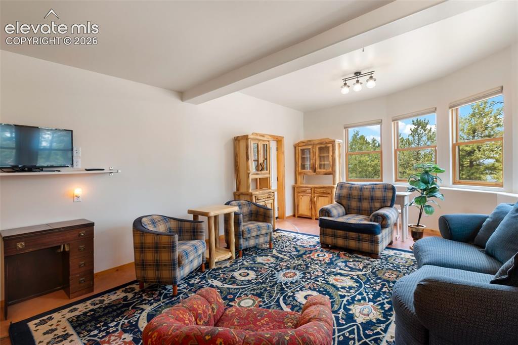 9 Arapahoe Street Woodland Park CO 80863