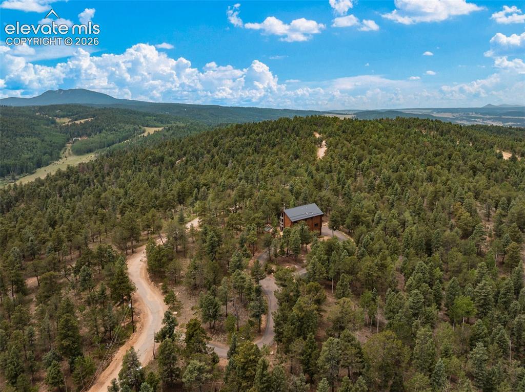 9 Arapahoe Street Woodland Park CO 80863