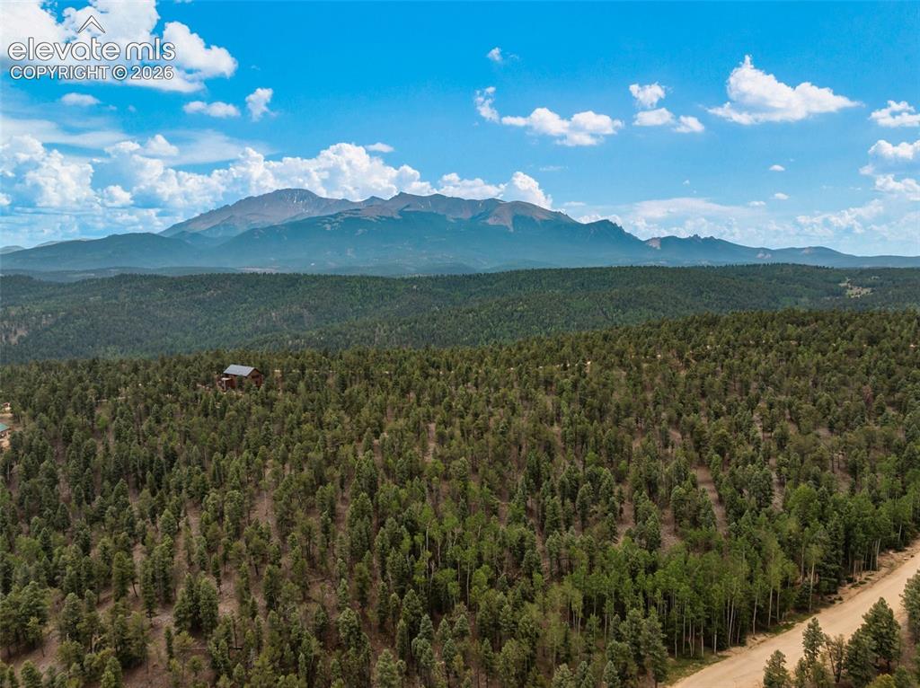 9 Arapahoe Street Woodland Park CO 80863