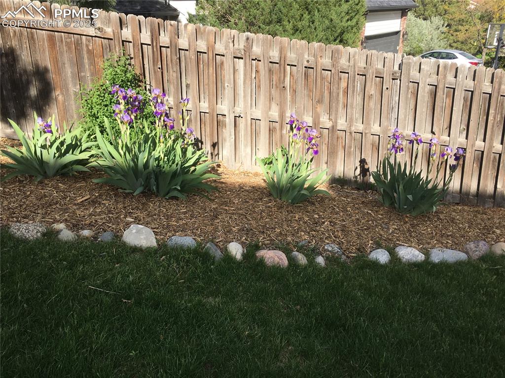 260 Haversham Drive Colorado Springs CO 80906