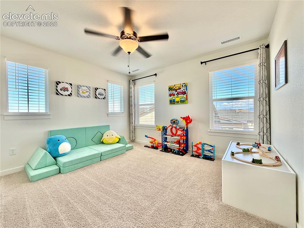 8430 William Downing Drive Colorado Springs CO 80908