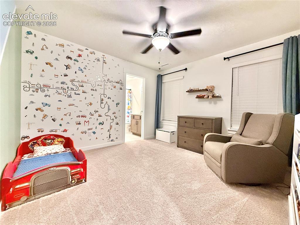 8430 William Downing Drive Colorado Springs CO 80908