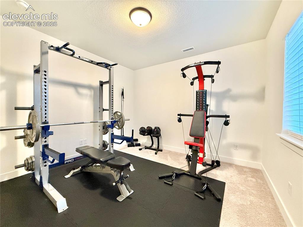 8430 William Downing Drive Colorado Springs CO 80908