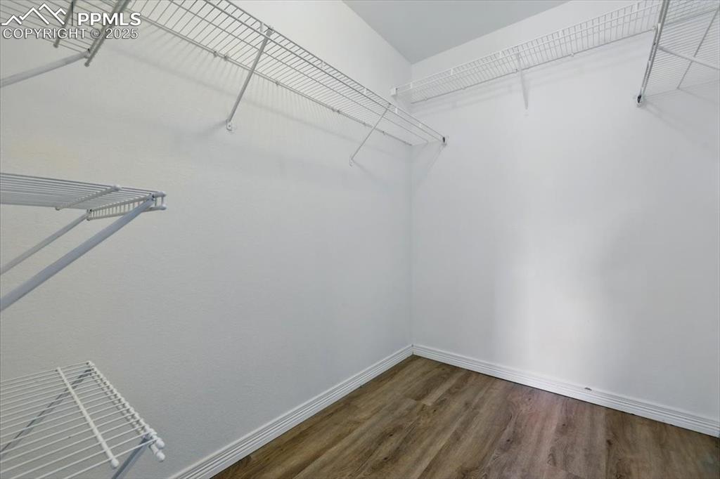 6184 Wood Bison Trail Colorado Springs CO 80925
