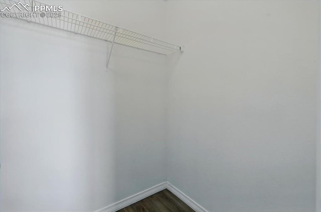 6184 Wood Bison Trail Colorado Springs CO 80925