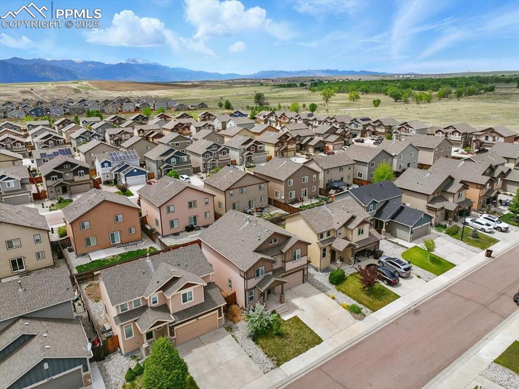6184 Wood Bison Trail Colorado Springs CO 80925